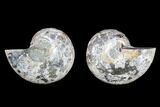 Bargain, Cut & Polished Ammonite (Anapuzosia?) Pair #88008-1